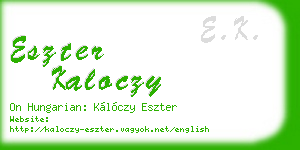 eszter kaloczy business card